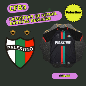 camiseta replica Palestina